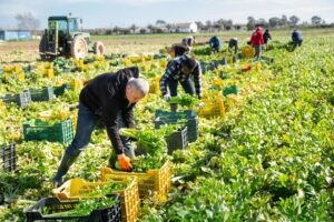 seasonal-workers
